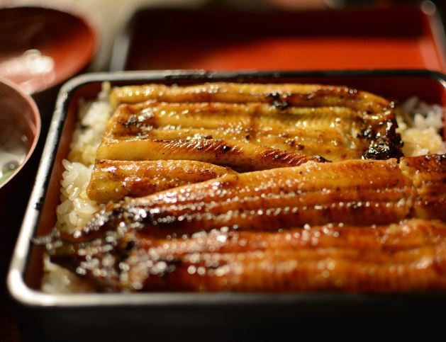 12 Interpretations of Dreaming about Eels