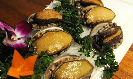 11 Interpretations of Dreaming about Abalone