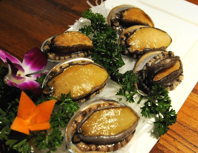 11 Interpretations of Dreaming about Abalone