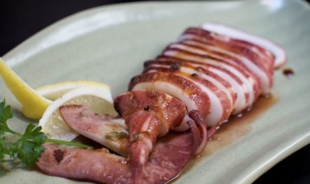 13 Interpretations of Dreaming about Squid