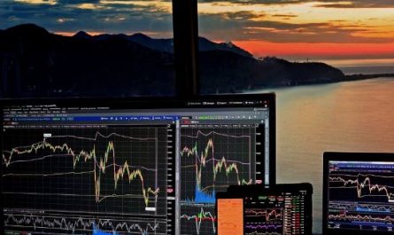 13 Interpretations of Dreams about Stocks