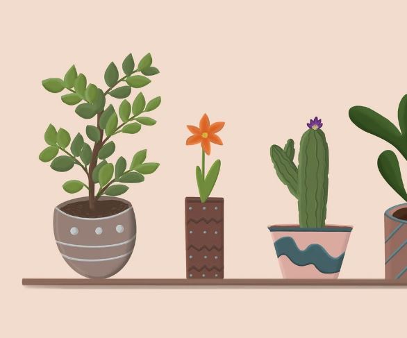 16 Interpretations of Dreams about Flowerpots