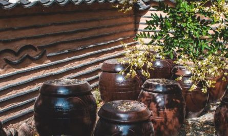 16 Interpretations of Dreams about Jars