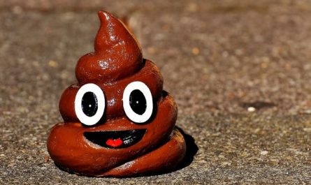 11 Interpretations of Dreaming about Dog Feces