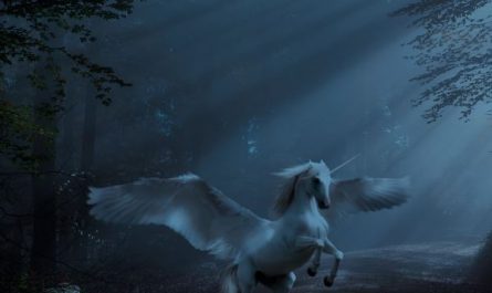 9 Interpretations of Dreaming about Unicorns