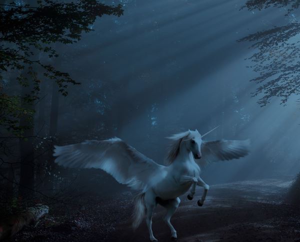 9 Interpretations of Dreaming about Unicorns