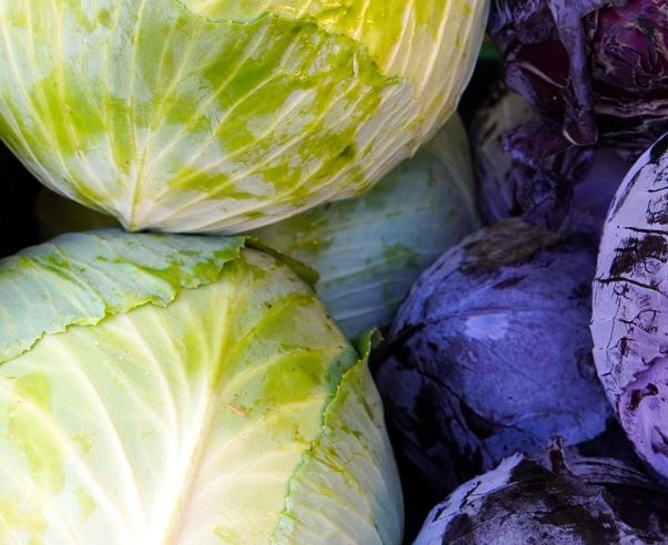 8 Spiritual Meanings of Dreaming of Cabbage