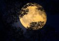 17 Spiritual Meanings of Dreaming of a Full Moon