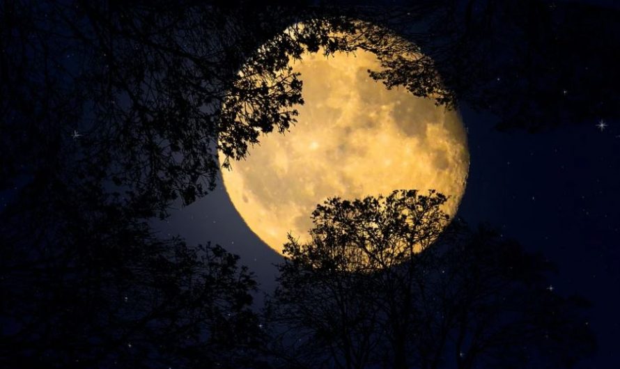 17 Spiritual Meanings of Dreaming of a Full Moon