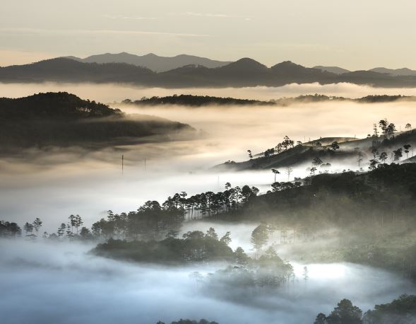 9 Spiritual Meanings of Dreaming of White Fog