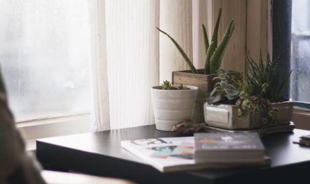 13 Spiritual Meanings of Dreams about Watering Plants