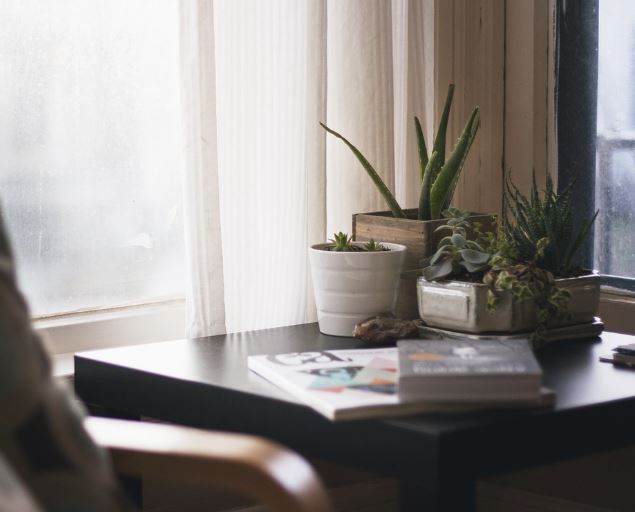 13 Spiritual Meanings of Dreams about Watering Plants