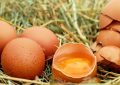11 Spiritual Meanings of Dreaming about Eggs