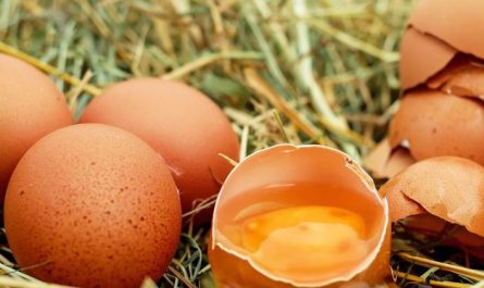 11 Spiritual Meanings of Dreaming about Eggs