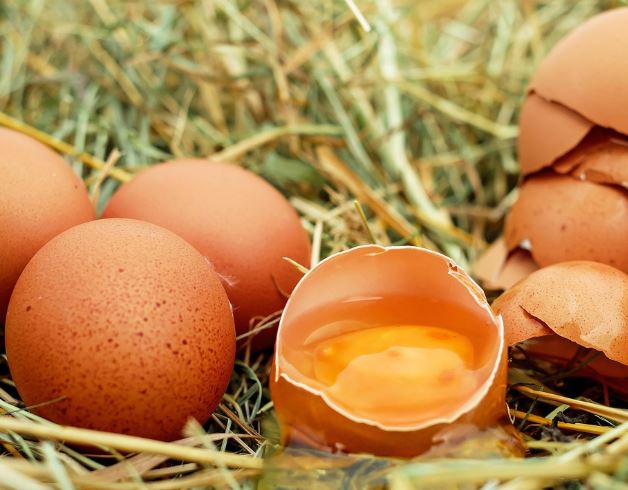 11 Spiritual Meanings of Dreaming about Eggs
