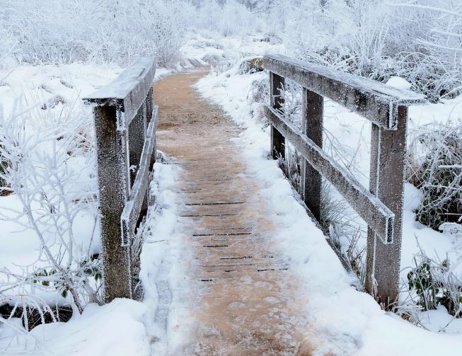 8 Spiritual Meanings of Dreaming of Snowy Roads