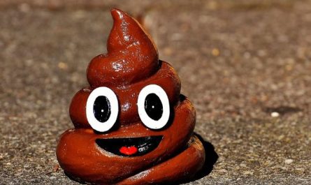 8 Spiritual Meanings of Dreaming About Cow Dung
