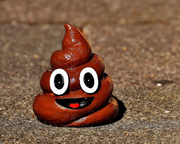 8 Spiritual Meanings of Dreaming About Cow Dung
