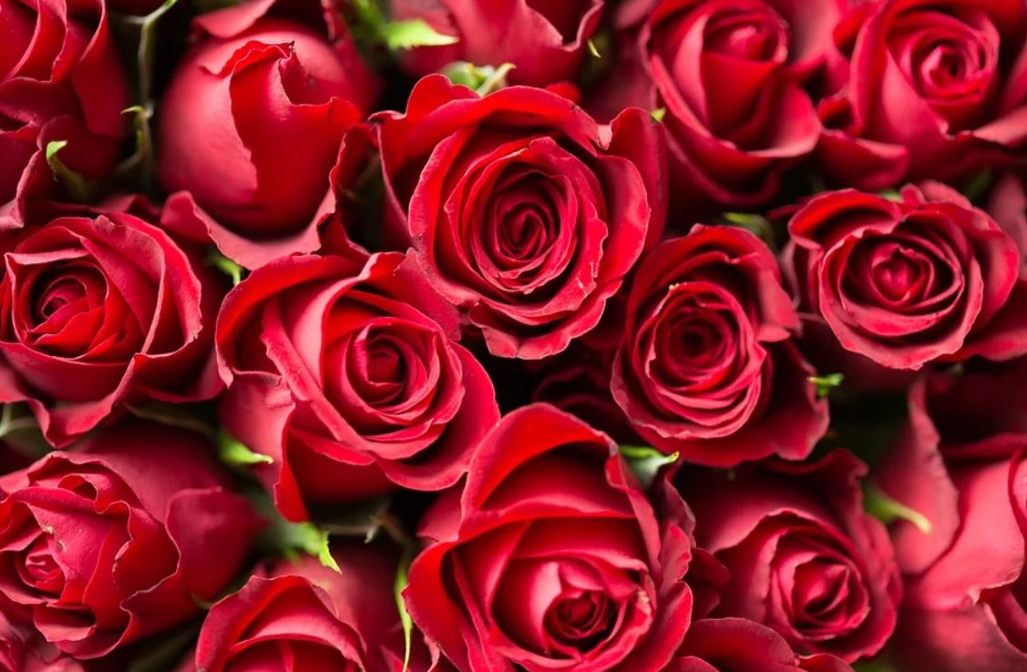 28 spiritual meanings of dreaming about flowers