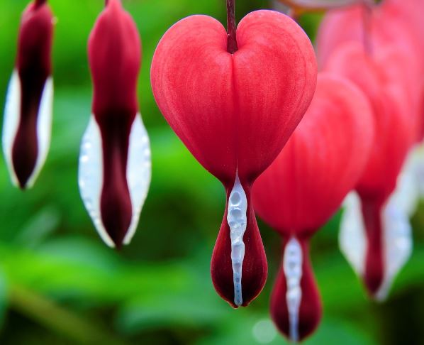 11 Spiritual Meanings of Dreaming about feelings