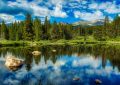 26 Spiritual Meanings of Dreaming About a Pond