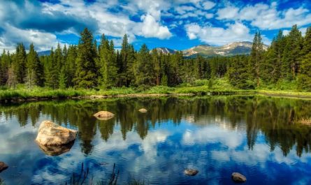 26 Spiritual Meanings of Dreaming About a Pond