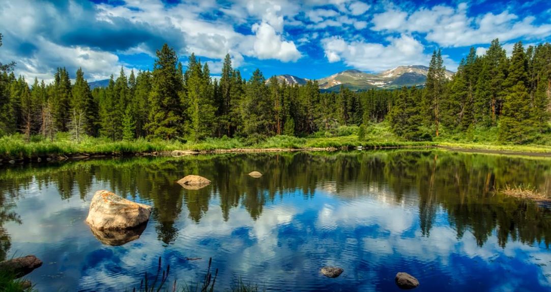 26 Spiritual Meanings of Dreaming About a Pond